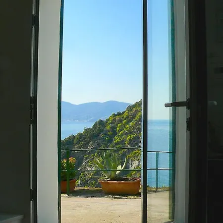 L' Agave Cinque Terre *