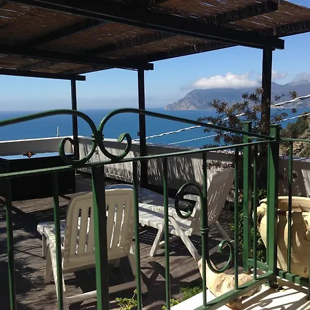 L' Agave Cinque Terre *