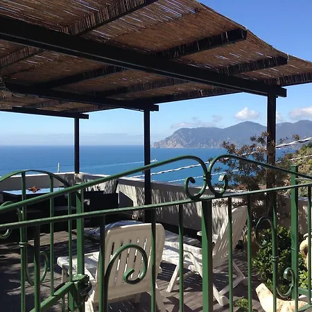 L' Agave Cinque Terre *