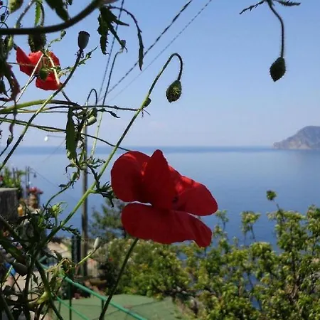 Apartment L' Agave Cinque Terre *